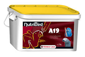 NutriBird élevage à la main A 19