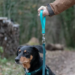 Laisse pour chien en biothane avec poignée interchangeable