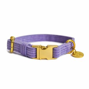 Collier chien en velours côtelé Lilas