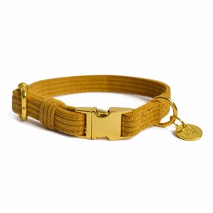 Collier chien en velours côtelé Moutarde
