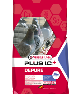 Depure Plus I.C.+