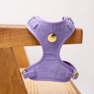 Harnais chien en velours côtelé Lilas