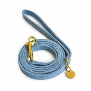 Laisse chien en velours côtelé Bleu