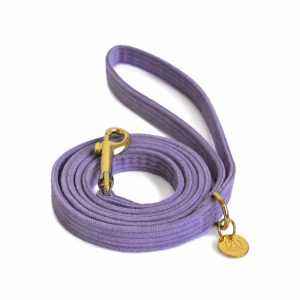 Laisse chien en velours côtelé Lilas