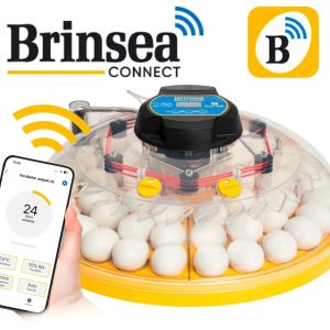 Brinsea - Couveuse Maxi 48 EX CONNECT 🆕