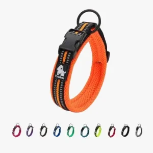 Collier pour chien en Mesh Truelove : confortable et respirant
