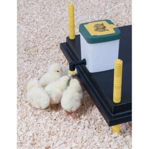 Abreuvoir à pipette avec couvercle articulé, 0.5l