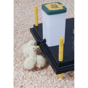 Abreuvoir à pipette avec couvercle articulé, 1l